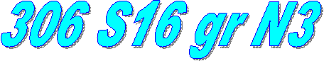 306 S16 gr N3